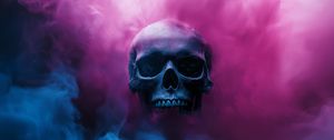 Preview wallpaper skull, smoke, pink, blue