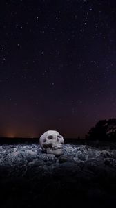 Preview wallpaper skull, starry sky, stones, night