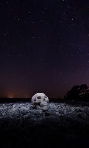 Preview wallpaper skull, starry sky, stones, night