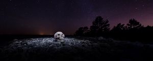 Preview wallpaper skull, starry sky, stones, night