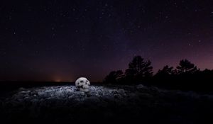 Preview wallpaper skull, starry sky, stones, night