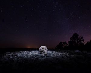 Preview wallpaper skull, starry sky, stones, night