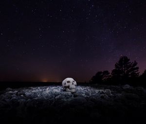 Preview wallpaper skull, starry sky, stones, night