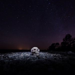 Preview wallpaper skull, starry sky, stones, night