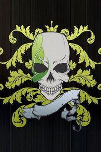 Preview wallpaper skull, symbols, graphics