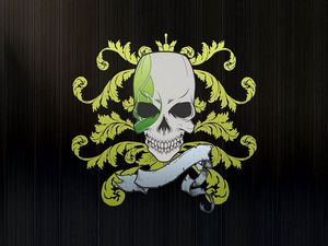 Preview wallpaper skull, symbols, graphics