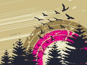 Preview wallpaper sky, birds, circles, trees