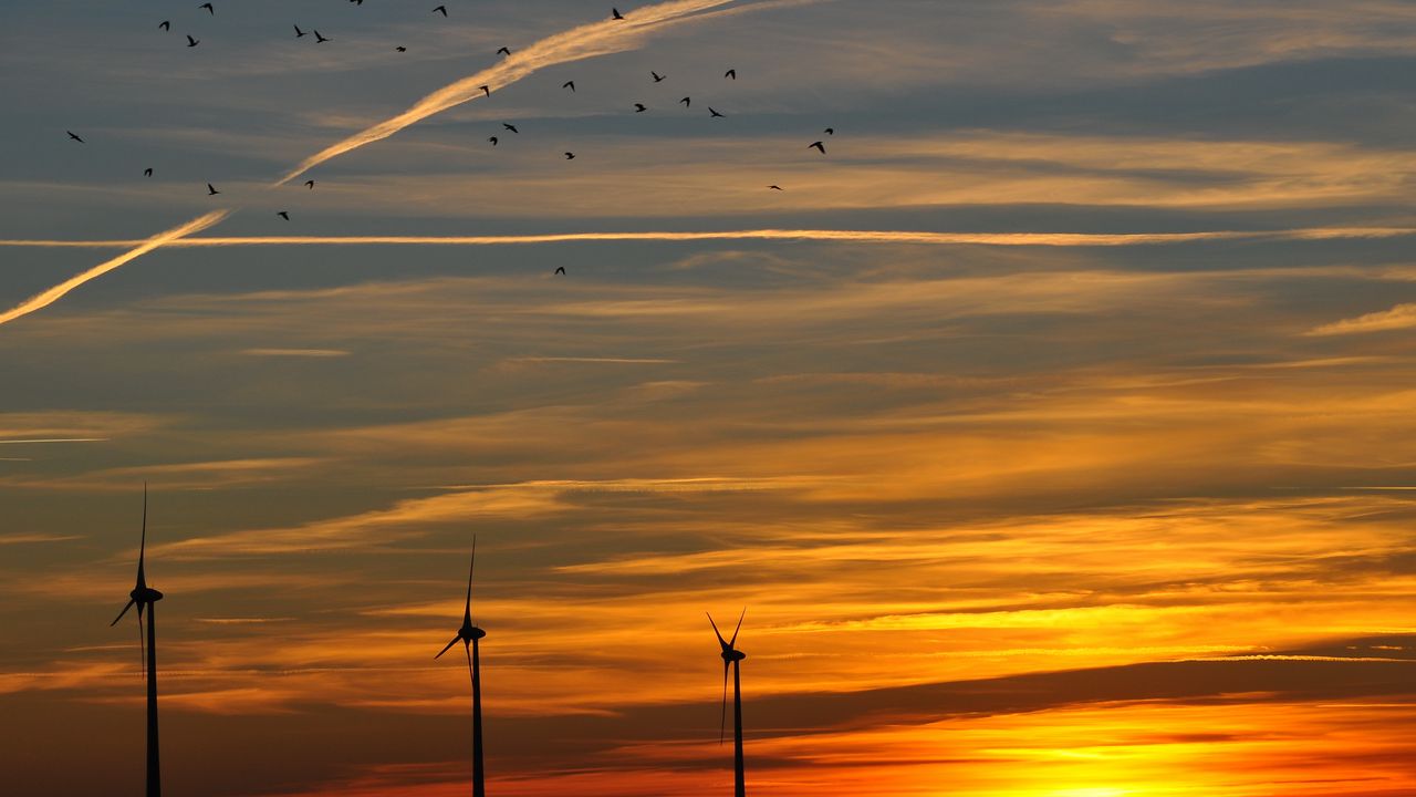 Wallpaper sky, birds, evening, decline, orange, twilight, landscape