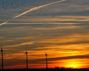 Preview wallpaper sky, birds, evening, decline, orange, twilight, landscape