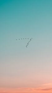 Preview wallpaper sky, birds, flight, gradient, silhouettes