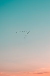 Preview wallpaper sky, birds, flight, gradient, silhouettes