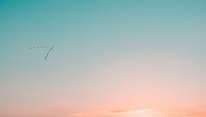 Preview wallpaper sky, birds, flight, gradient, silhouettes