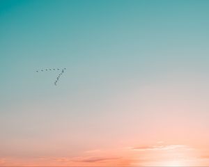 Preview wallpaper sky, birds, flight, gradient, silhouettes