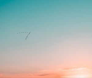 Preview wallpaper sky, birds, flight, gradient, silhouettes