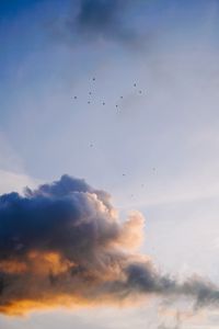 Preview wallpaper sky, clouds, birds, flock