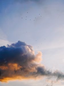 Preview wallpaper sky, clouds, birds, flock