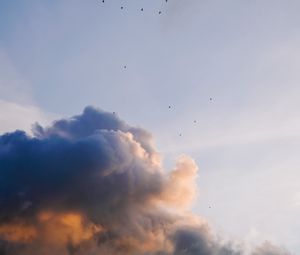 Preview wallpaper sky, clouds, birds, flock