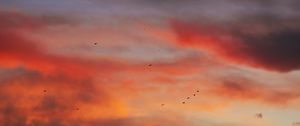 Preview wallpaper sky, clouds, birds, sunset