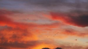 Preview wallpaper sky, clouds, birds, sunset