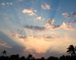 Preview wallpaper sky, clouds, palms, twilight