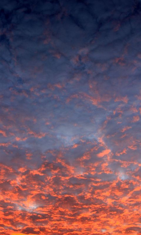 480x800 Wallpaper sky, clouds, sunset, nature