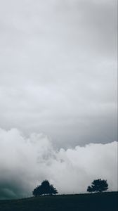 Preview wallpaper sky, clouds, trees, nature, fence