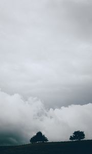 Preview wallpaper sky, clouds, trees, nature, fence