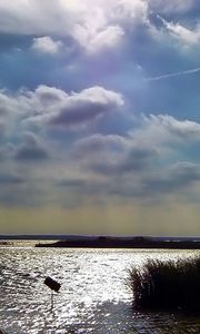 Preview wallpaper sky, clouds, water, thickets, canes, ripples