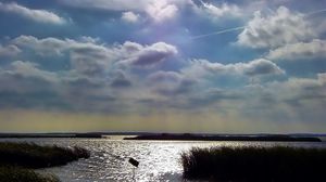 Preview wallpaper sky, clouds, water, thickets, canes, ripples