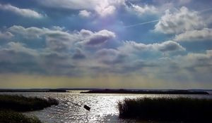 Preview wallpaper sky, clouds, water, thickets, canes, ripples