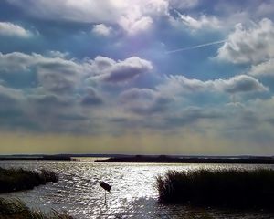 Preview wallpaper sky, clouds, water, thickets, canes, ripples