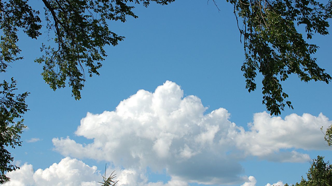 Wallpaper sky, cloudy, tree, landscape