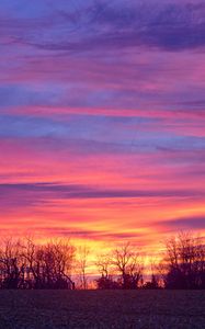 Preview wallpaper sky, colorful, horizon, trees