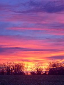 Preview wallpaper sky, colorful, horizon, trees