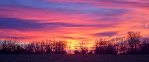 Preview wallpaper sky, colorful, horizon, trees