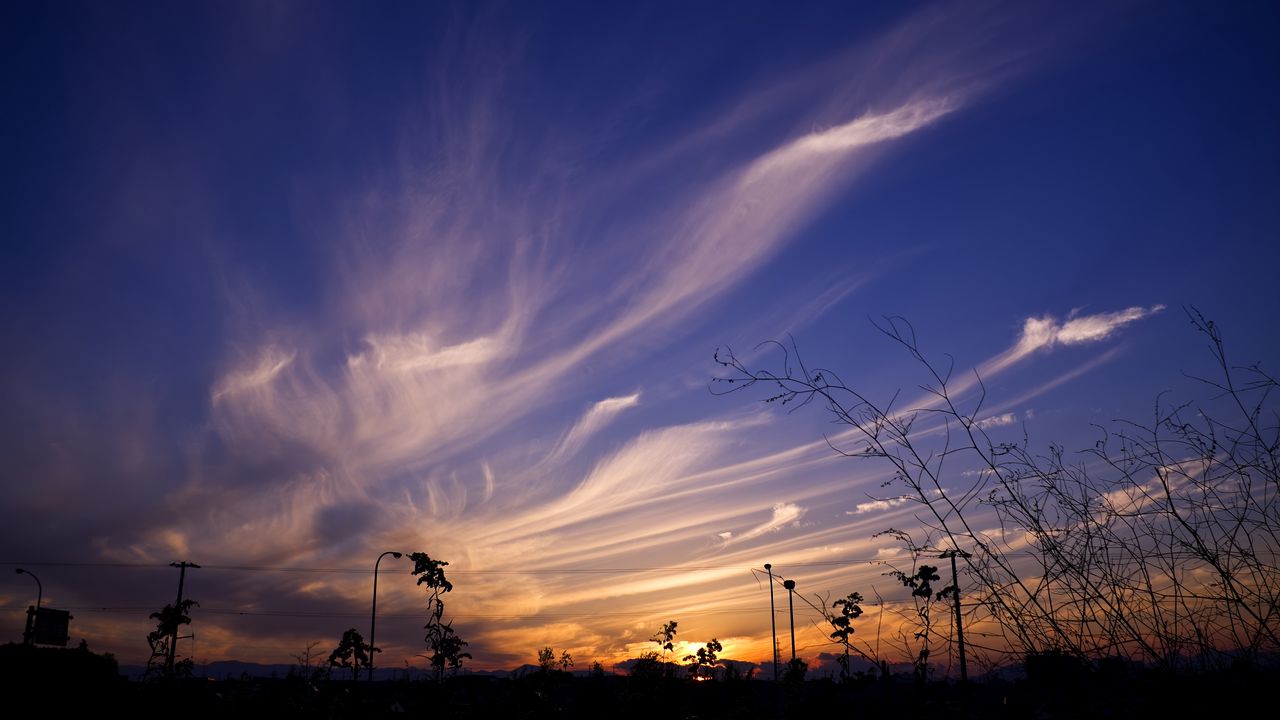 Wallpaper sky, evening, grass, silhouettes, dark