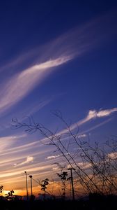 Preview wallpaper sky, evening, grass, silhouettes, dark