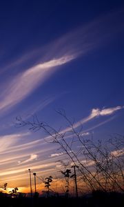 Preview wallpaper sky, evening, grass, silhouettes, dark