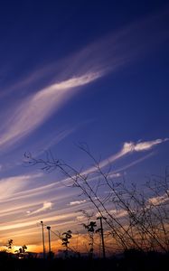 Preview wallpaper sky, evening, grass, silhouettes, dark