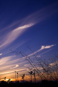 Preview wallpaper sky, evening, grass, silhouettes, dark