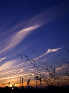 Preview wallpaper sky, evening, grass, silhouettes, dark