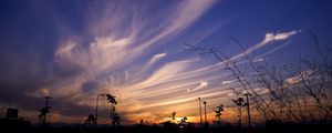 Preview wallpaper sky, evening, grass, silhouettes, dark