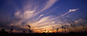 Preview wallpaper sky, evening, grass, silhouettes, dark