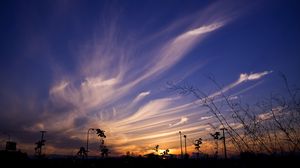 Preview wallpaper sky, evening, grass, silhouettes, dark