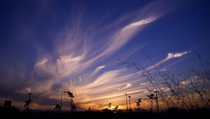 Preview wallpaper sky, evening, grass, silhouettes, dark