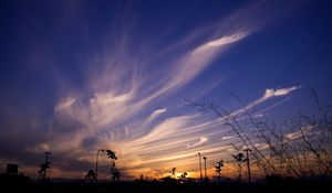 Preview wallpaper sky, evening, grass, silhouettes, dark