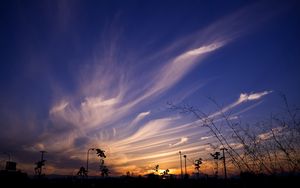 Preview wallpaper sky, evening, grass, silhouettes, dark