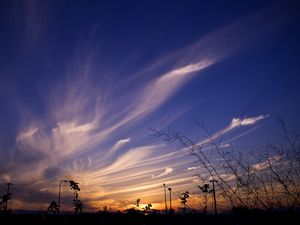 Preview wallpaper sky, evening, grass, silhouettes, dark