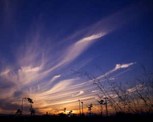 Preview wallpaper sky, evening, grass, silhouettes, dark