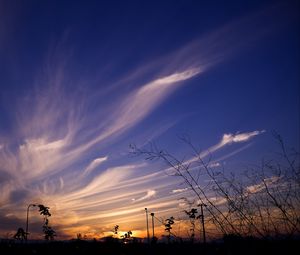 Preview wallpaper sky, evening, grass, silhouettes, dark